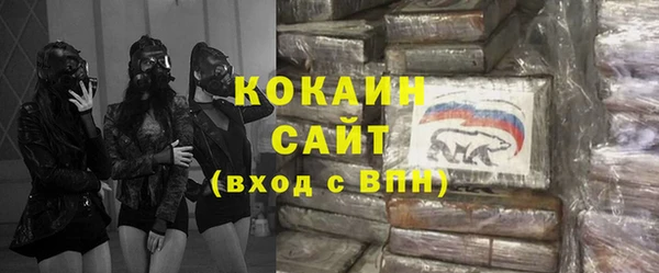 стаф Белокуриха