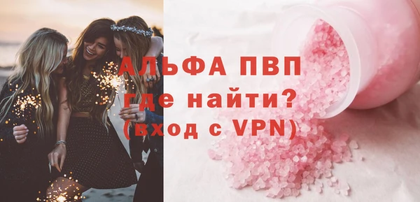 стаф Белокуриха