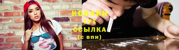 стаф Белокуриха