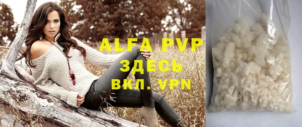стаф Белокуриха